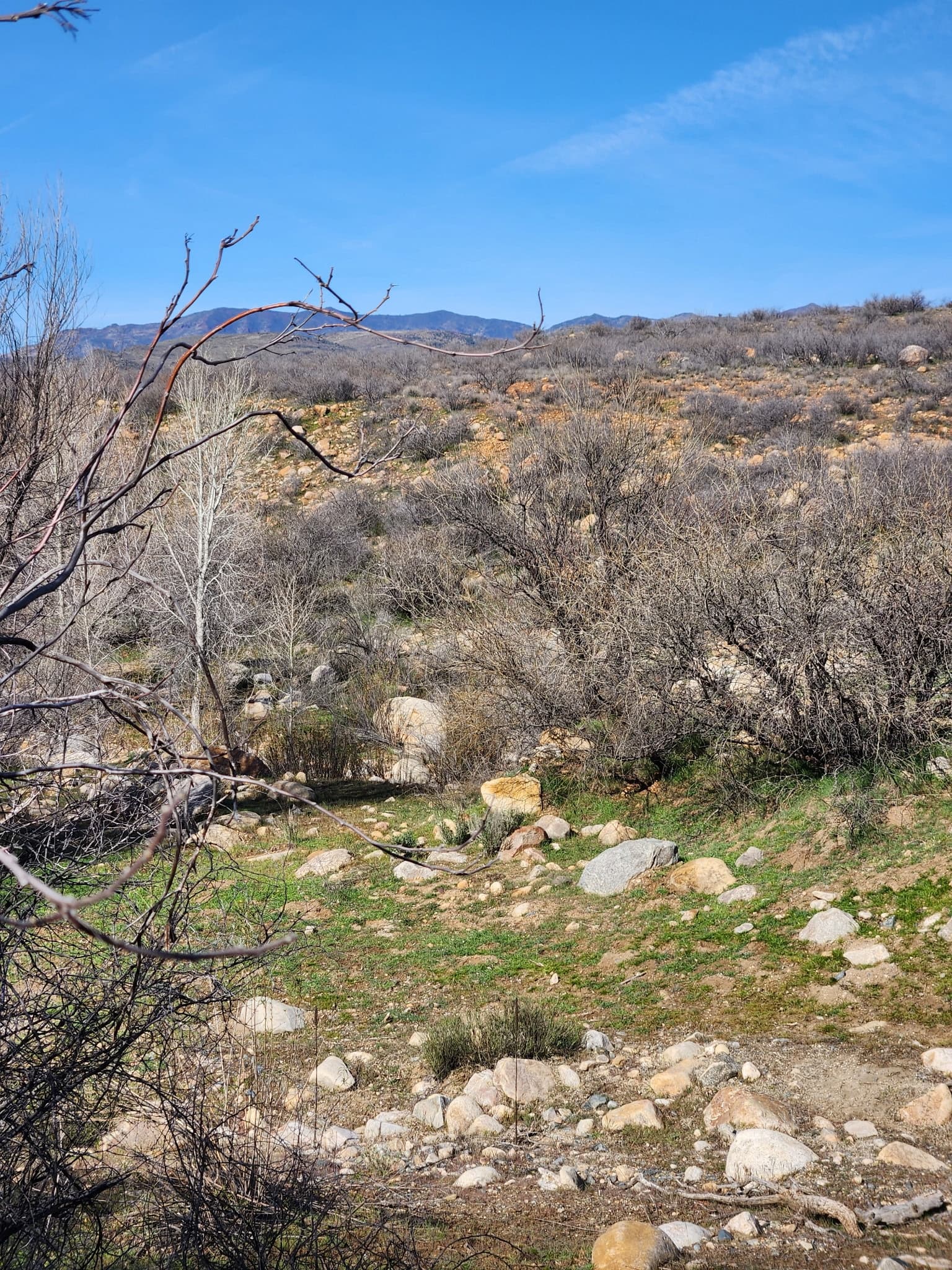 Golden Sands - (Recently Sold)